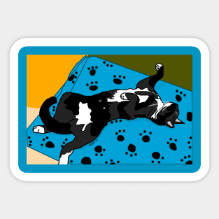 Cute Tuxedo cat laying in a paw print bed Chilling Copyright by TeAnne Sticker